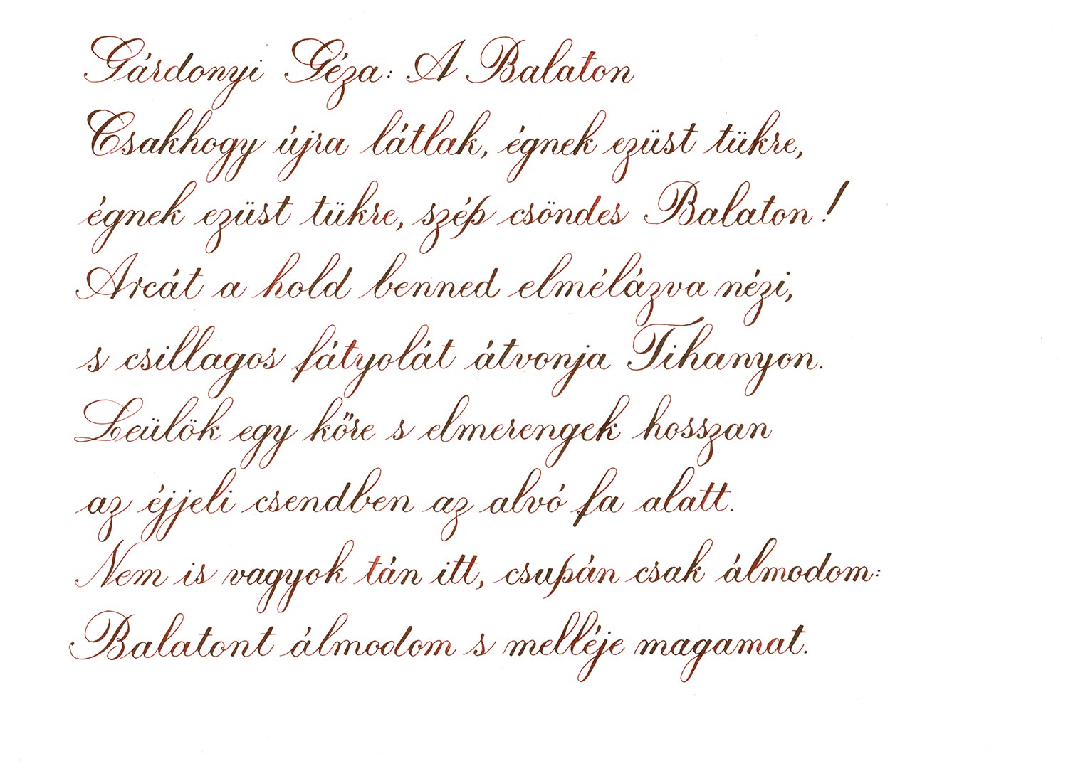 Pennonia Meggyes / Sour Cherry vulpen inkt 60ml