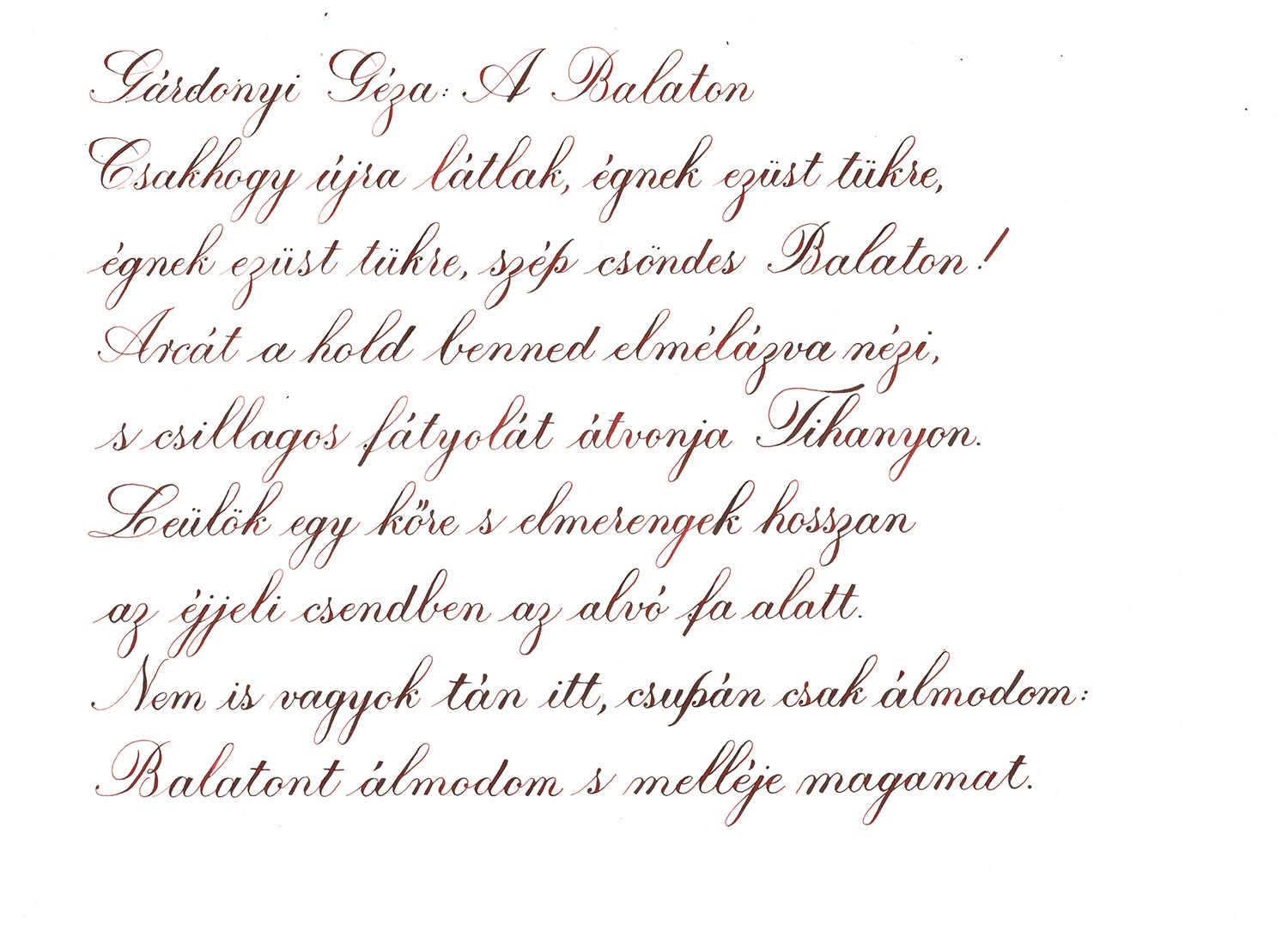 Pennonia Mustvörös / Young Wine vulpen inkt 60ml
