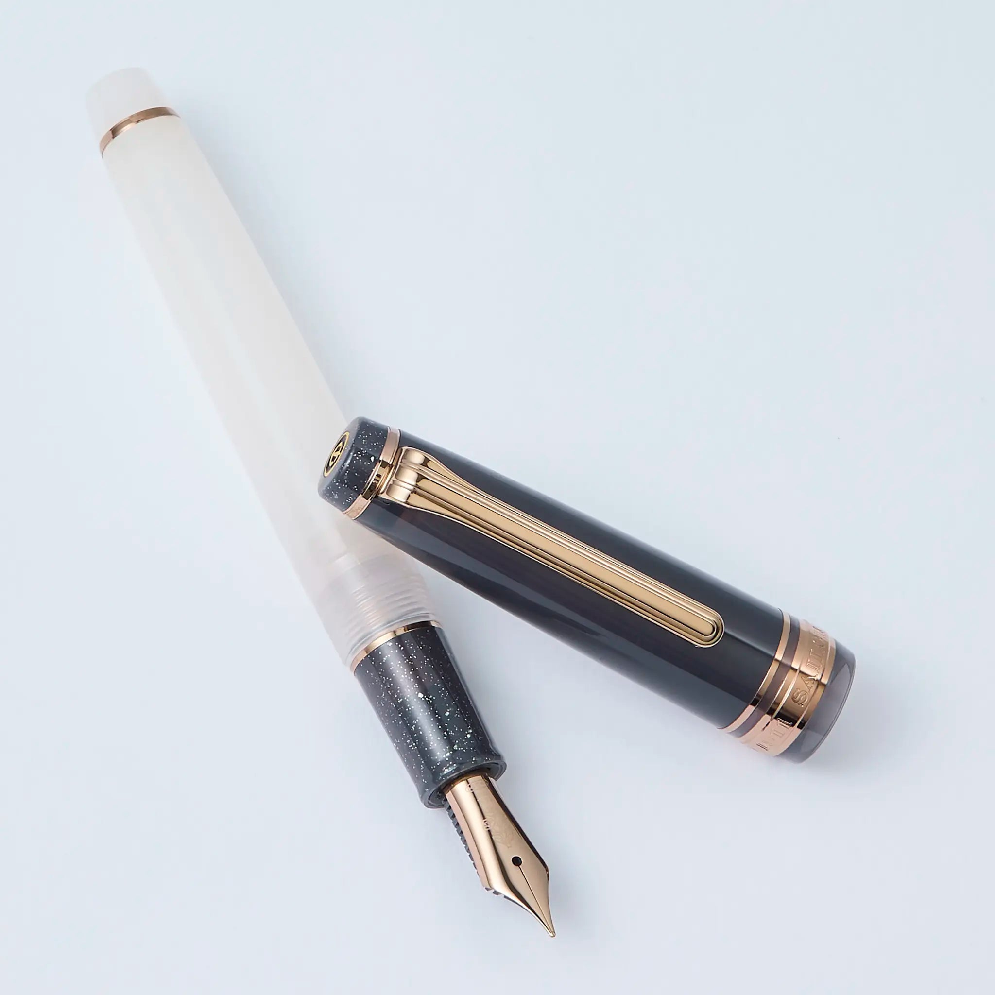 Sailor Dried Flower 2 Black Rose Pro Gear Slim fountain pen - Fontoplumo