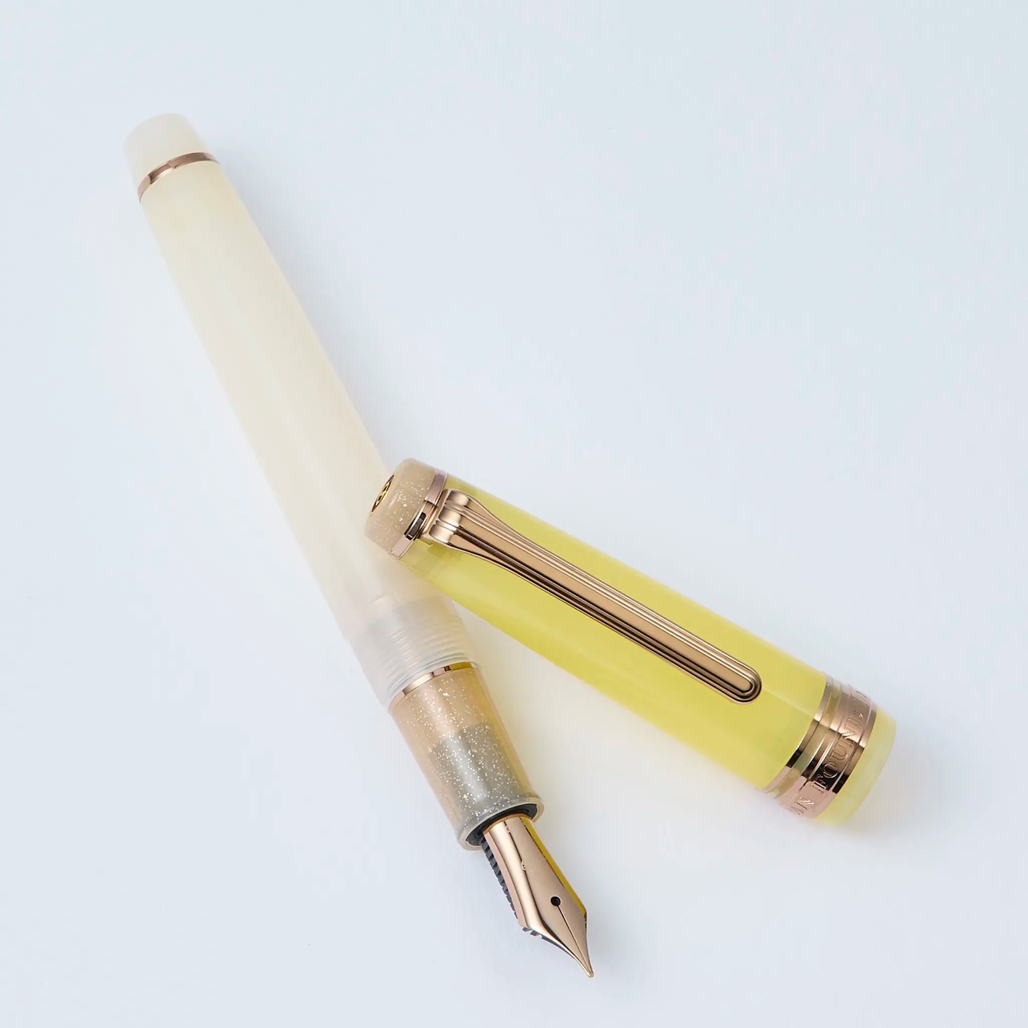Sailor Dried Flower 2 Marygold Pro Gear Slim fountain pen - Fontoplumo