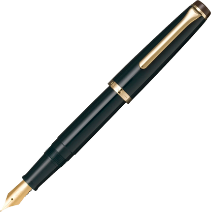 Sailor Lecoule fountain pen
