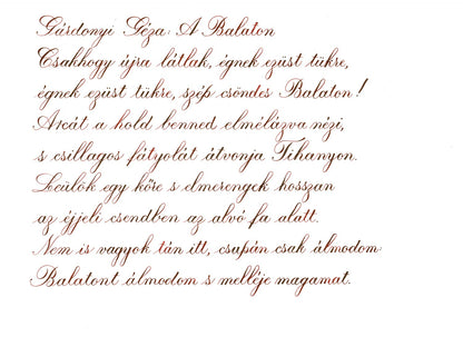 Pennonia Meggyes / Sour Cherry vulpen inkt 60ml