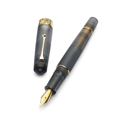 Leonardo Momento Zero Grande Pura Frosted Grey fountain pen - Fontoplumo