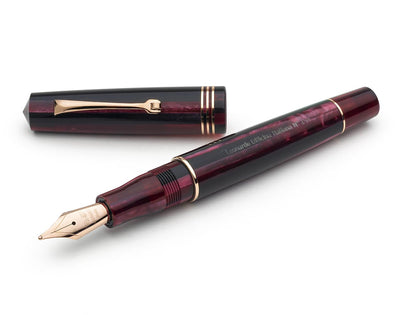 Leonardo Momento Zero Plum fountain pen - Fontoplumo