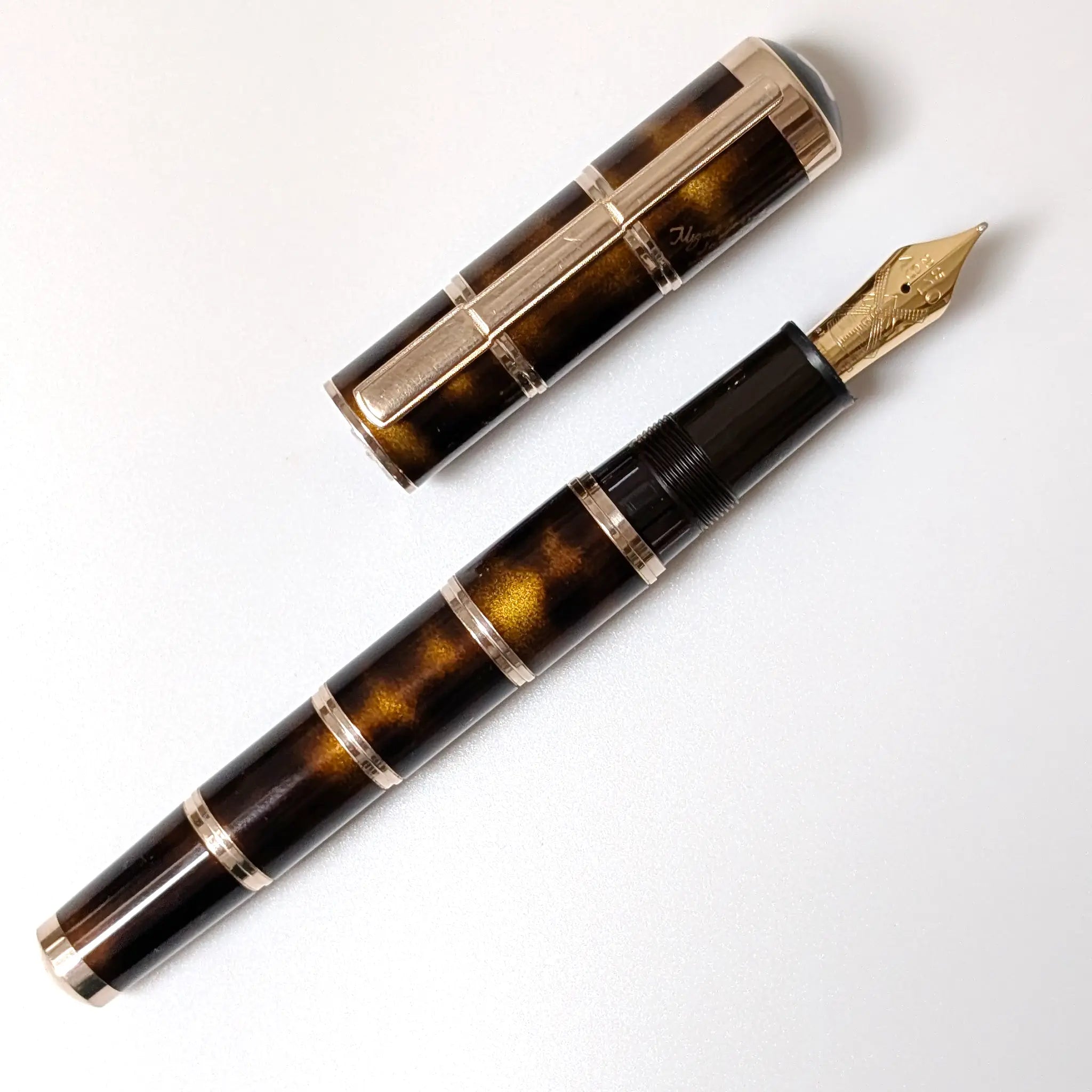 Montblanc Writers Edition 2005 Miquel de Cervantes fountain pen - Fontoplumo