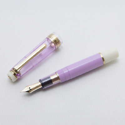 Nagasawa Mugunghwa Purple Pink fountain pen - Fontoplumo