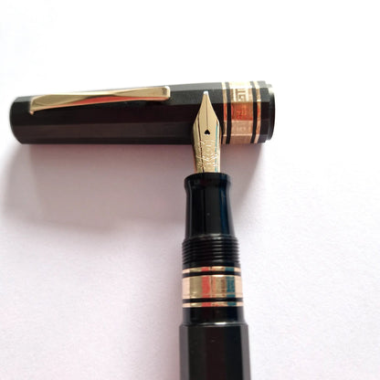 Omas 150625 fountain pen - Fontoplumo