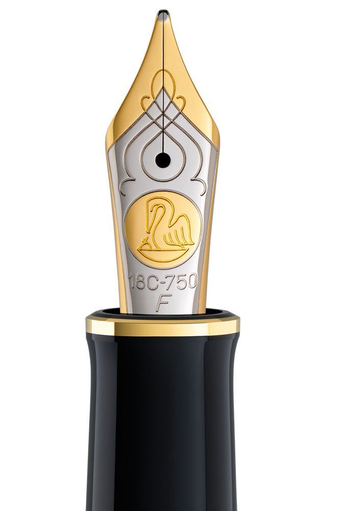 Pelikan nib for M800 gold bicolor - Fontoplumo