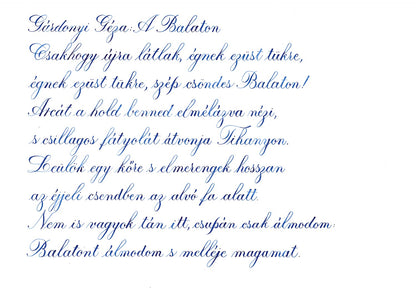 Pennonia Csonvtváry - kék / Csontváry's Blue fountain pen ink 60ml - Fontoplumo