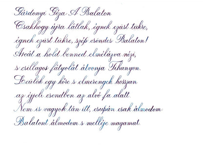 Pennonia Kékfesto / Embroidery Blue fountain pen ink 60ml - Fontoplumo