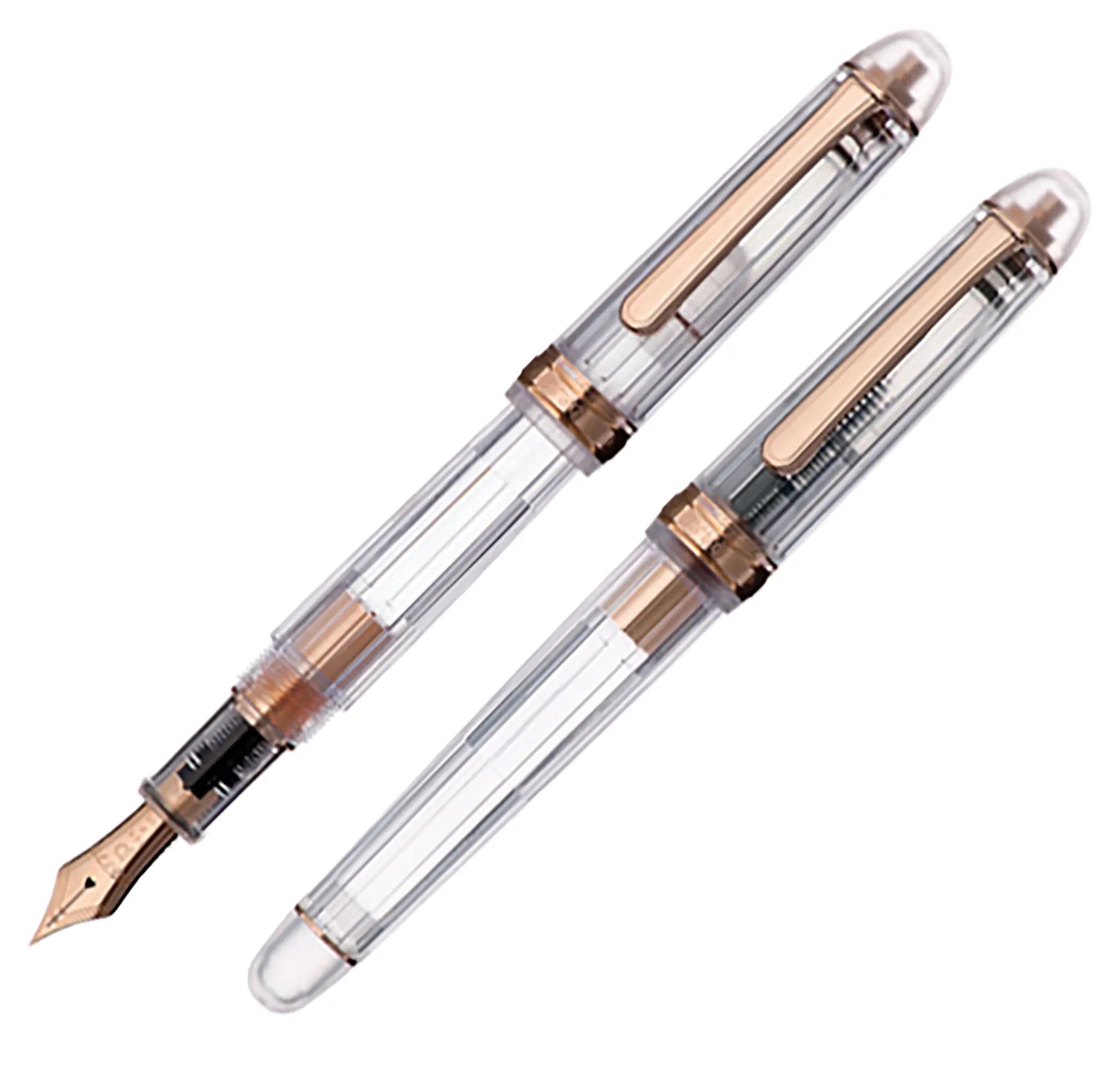 PLATINUM #3776 CENTURY NICE ROSE 万年筆　字幅M Platinum 3776 Nice Rose fountain pen – Fontoplumo