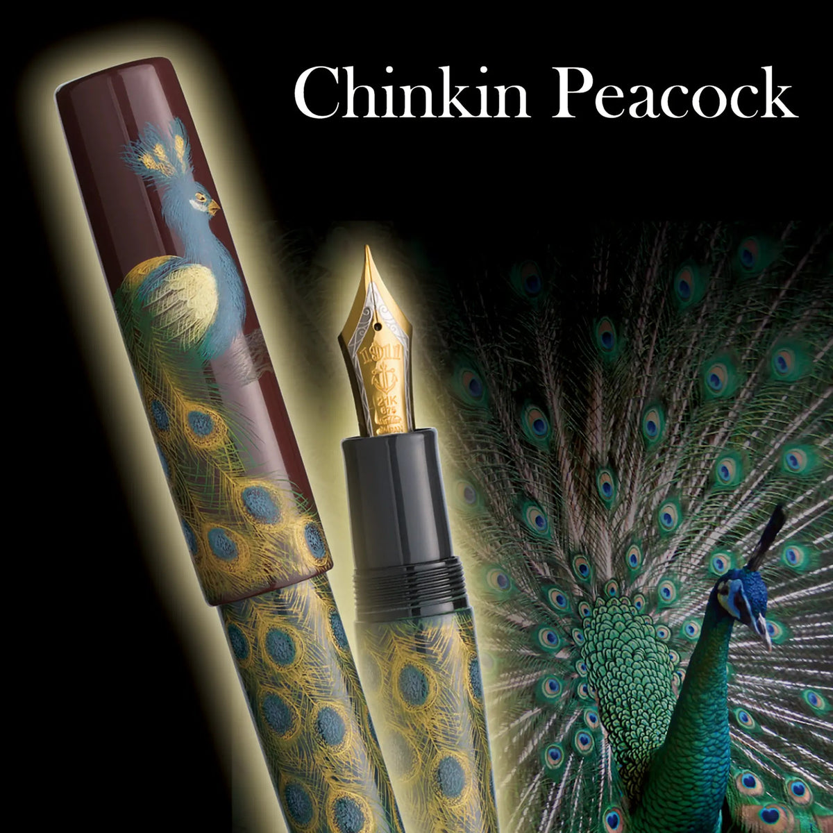Sailor King Of Pens Chinkin Peacock fountain pen - Fontoplumo