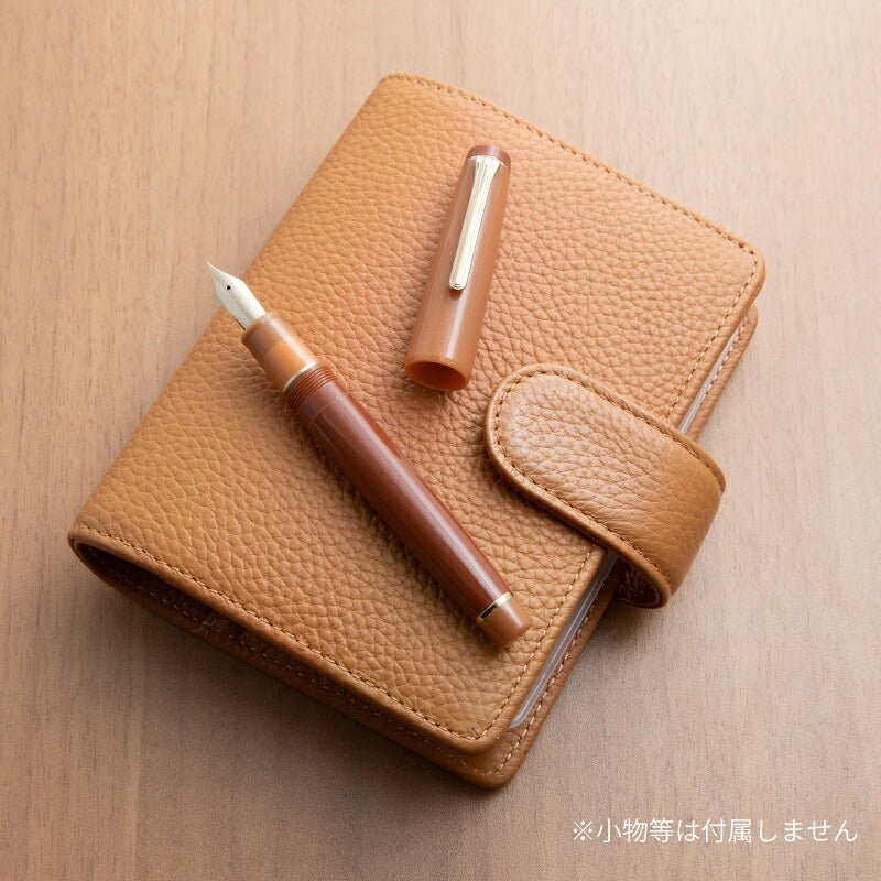 Sailor x Nagasawa Pro Gear Milk Chocolate fountain pen - Fontoplumo