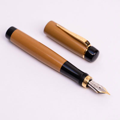Ulpia 117 Camel Absolute fountain pen - Fontoplumo
