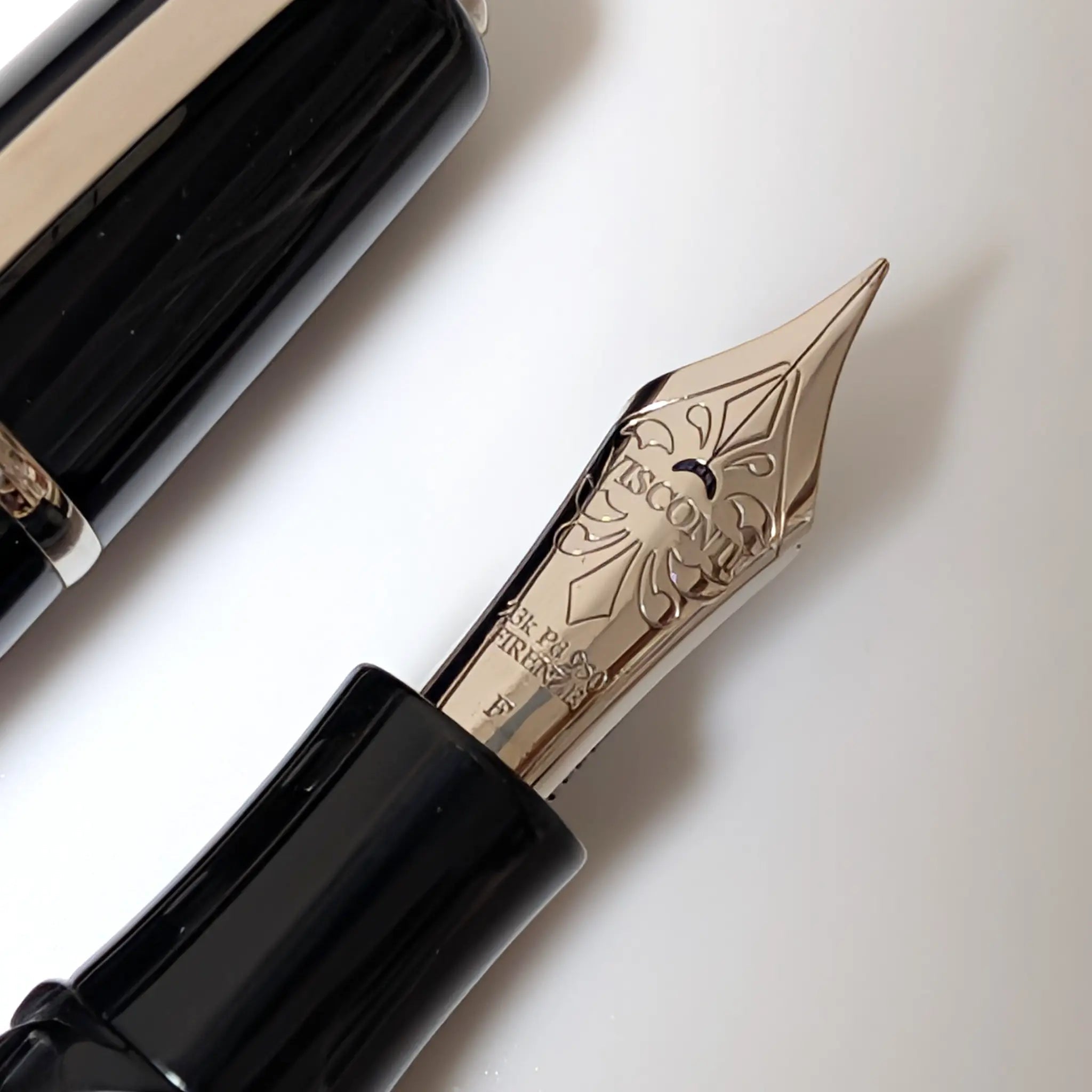 Visconti Homo Sapiens Elegance fountain pen - PL - Fontoplumo