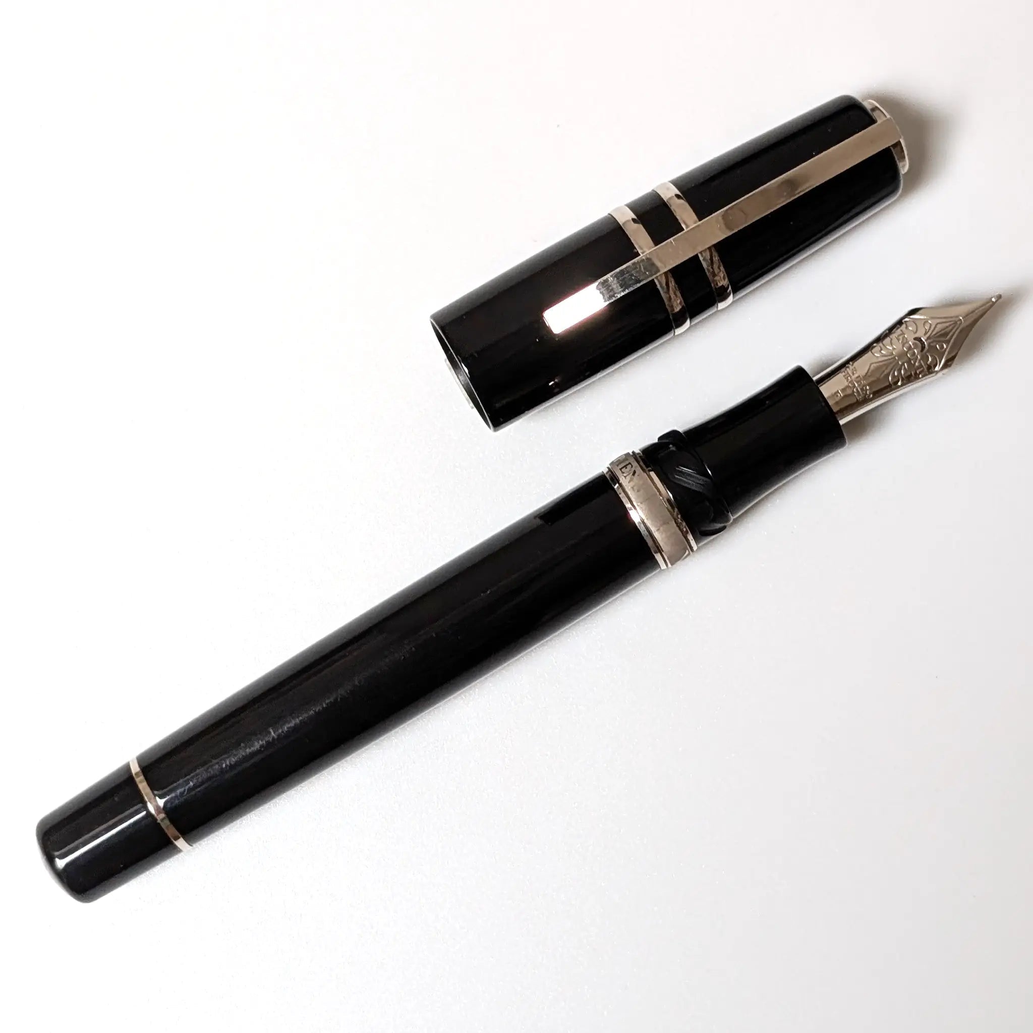 Visconti Homo Sapiens Elegance fountain pen - PL - Fontoplumo