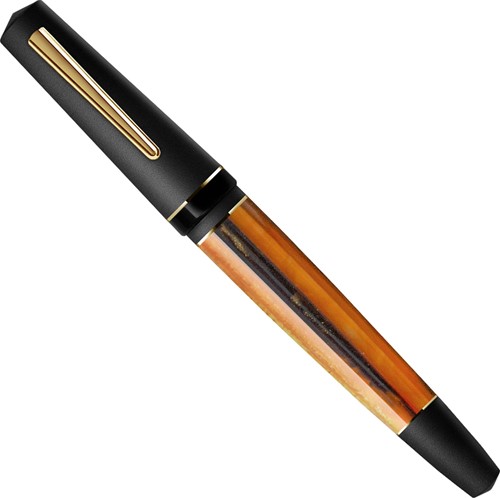 Maiora Impronte and gold trim fountain pen